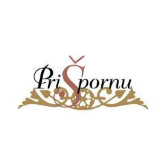 HOTEL IN RESTAVRACIJA PRI ŠPORNU